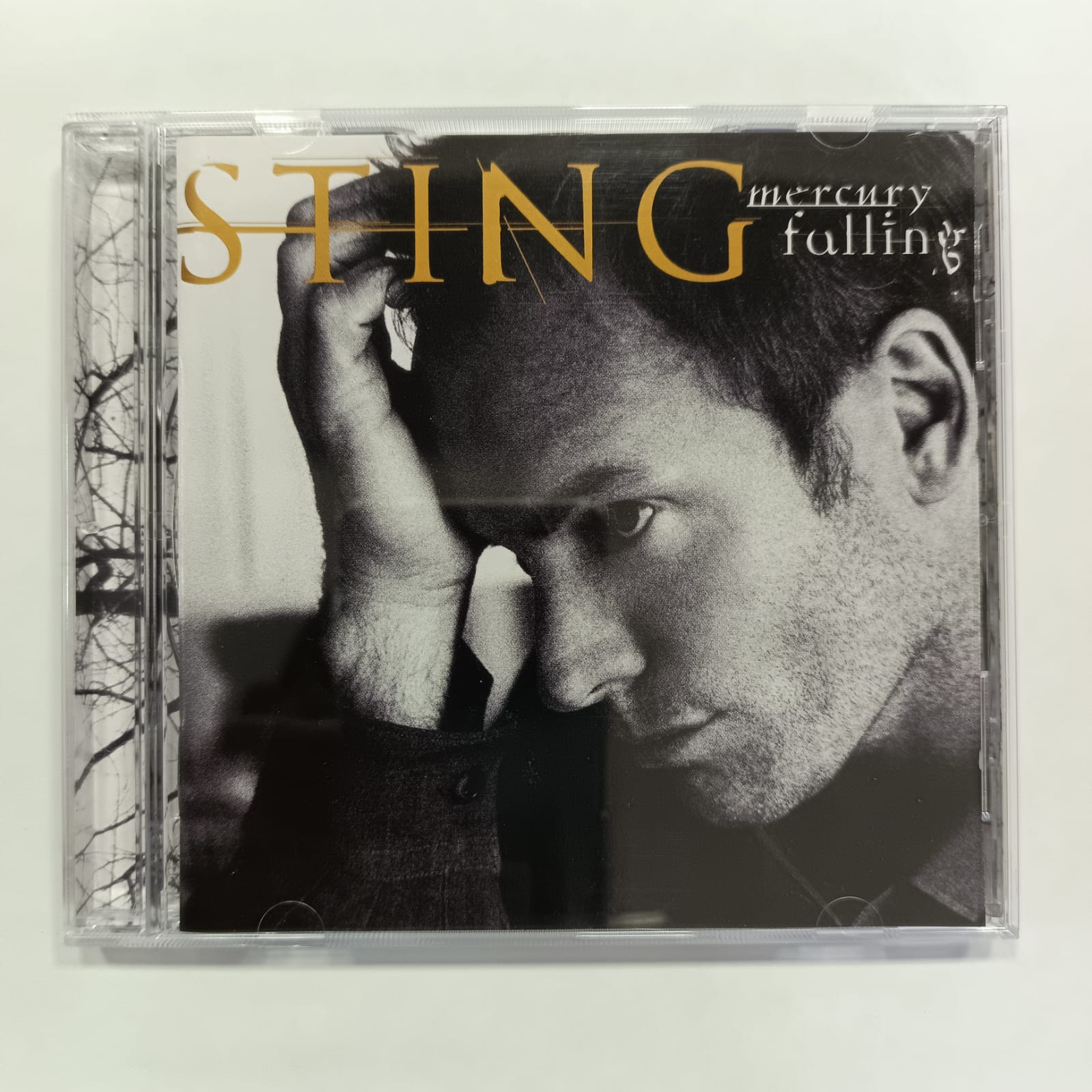Sting – Mercury Falling