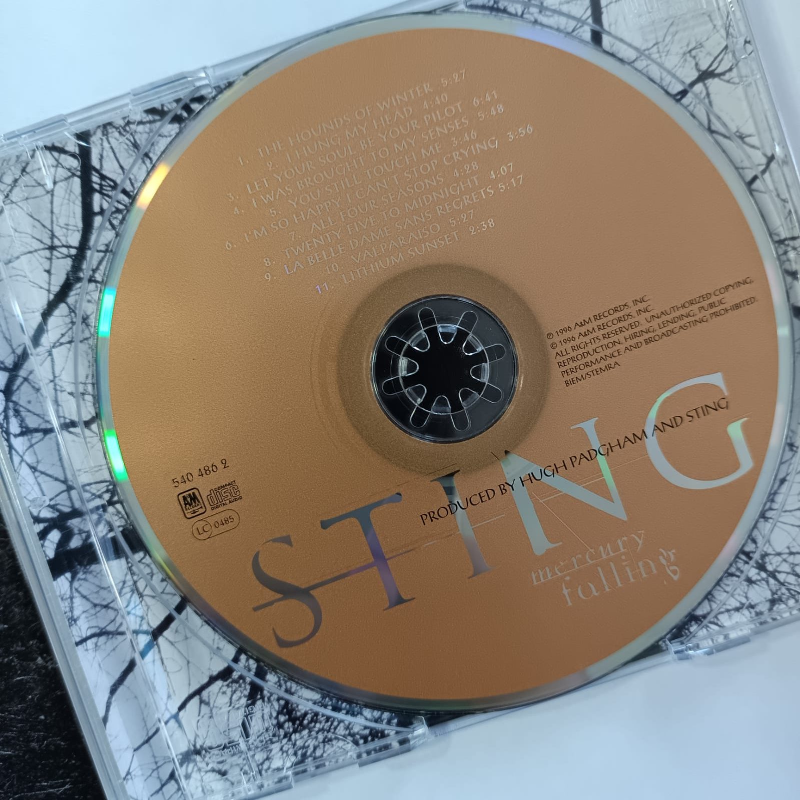 Sting – Mercury Falling - Imagen 3